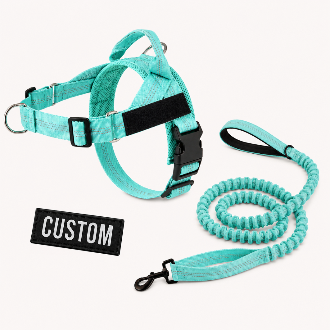 Complete Walk Set