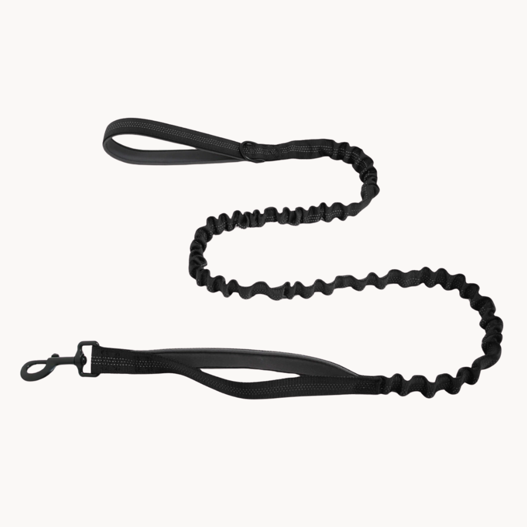 FREE ParoPet Bungee Lead