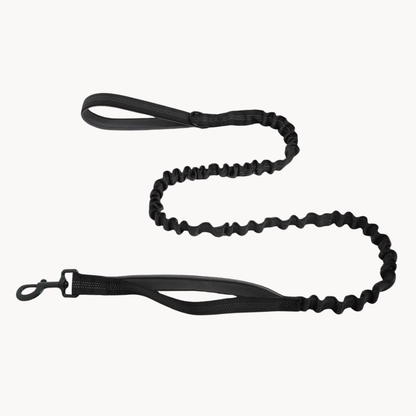 FREE ParoPet Bungee Lead