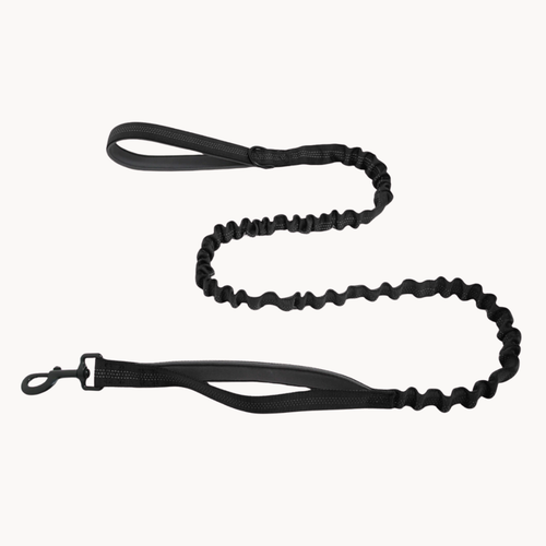 FREE ParoPet Bungee Lead