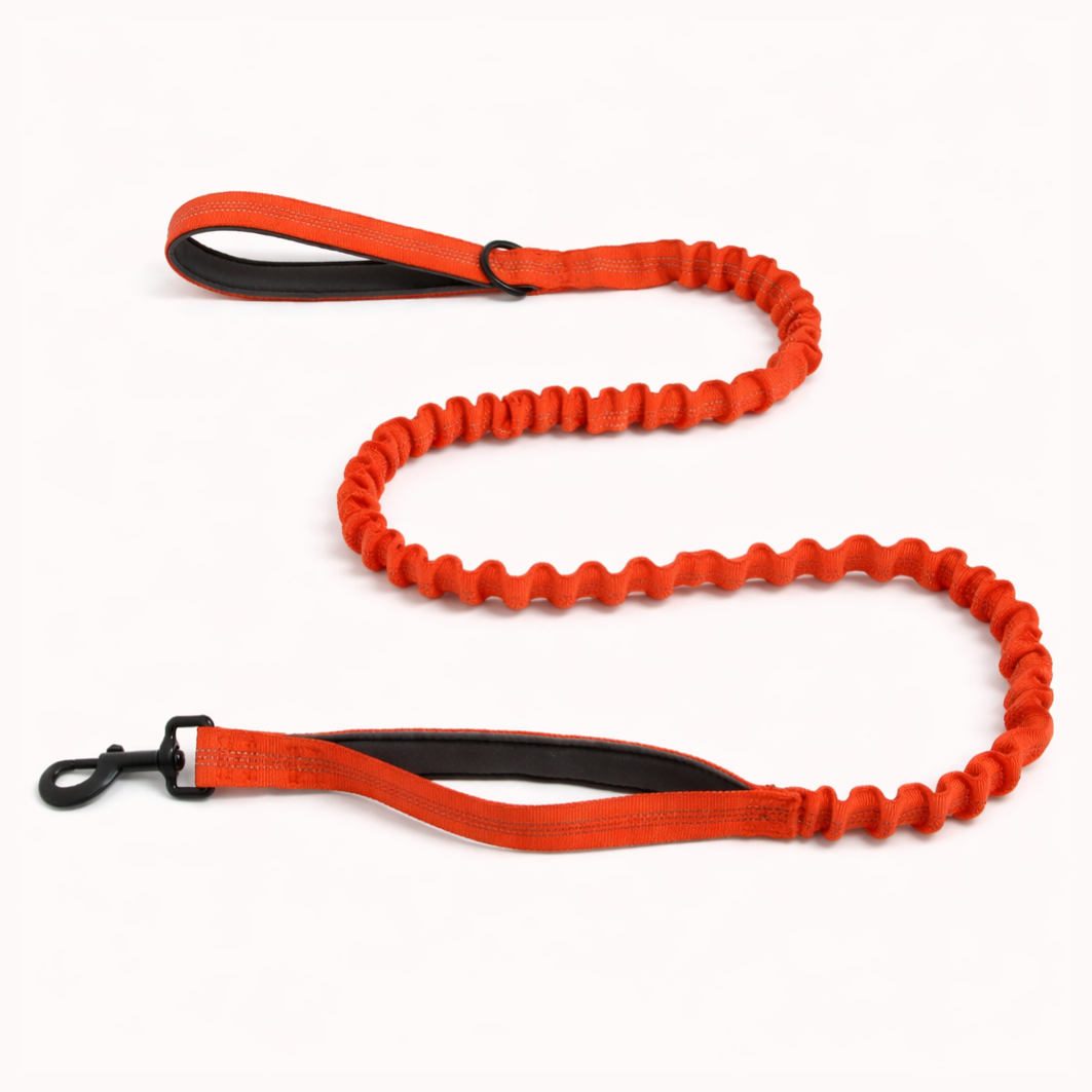 FREE ParoPet Bungee Lead