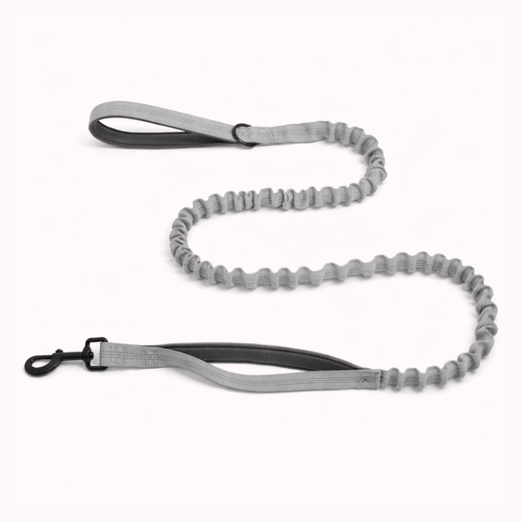 FREE ParoPet Bungee Lead