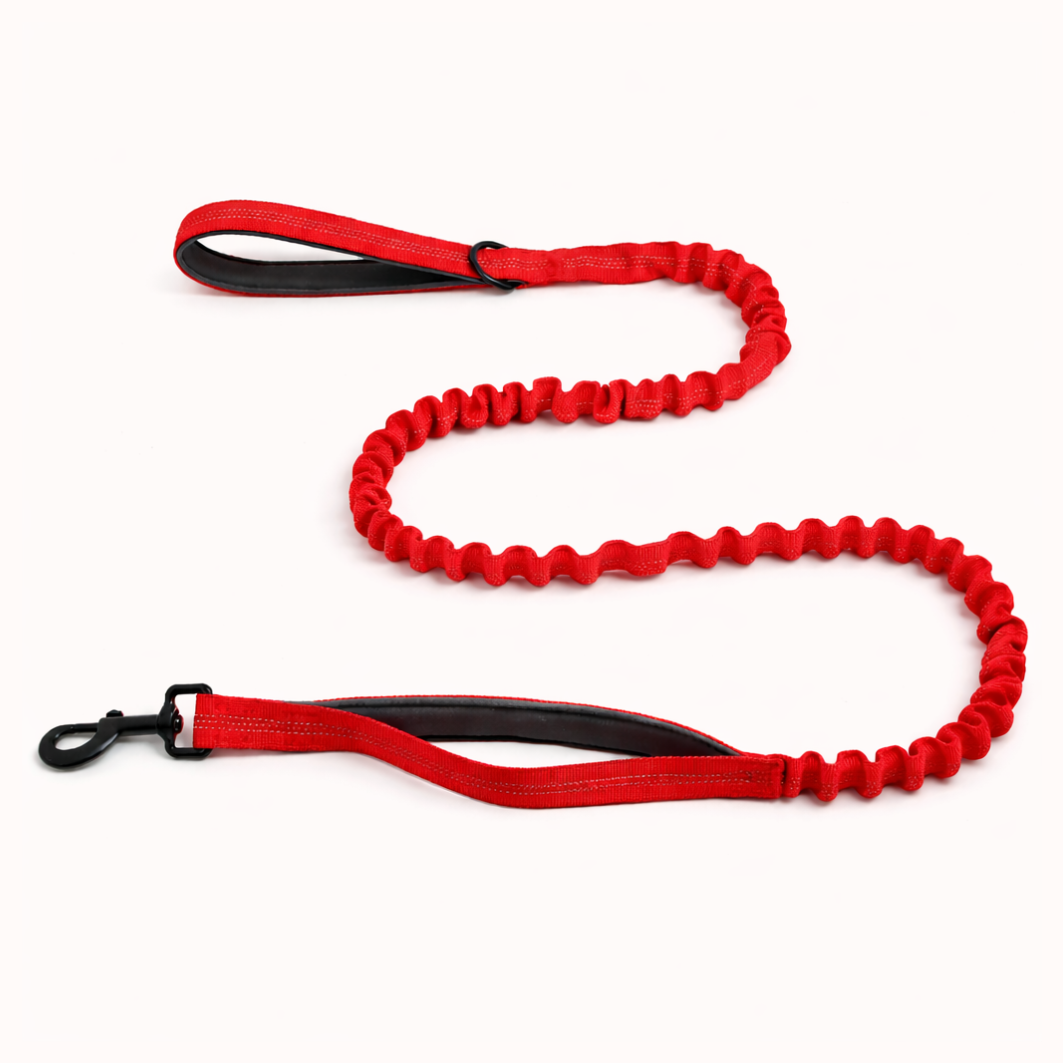 FREE ParoPet Bungee Lead
