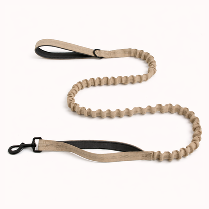 FREE ParoPet Bungee Lead