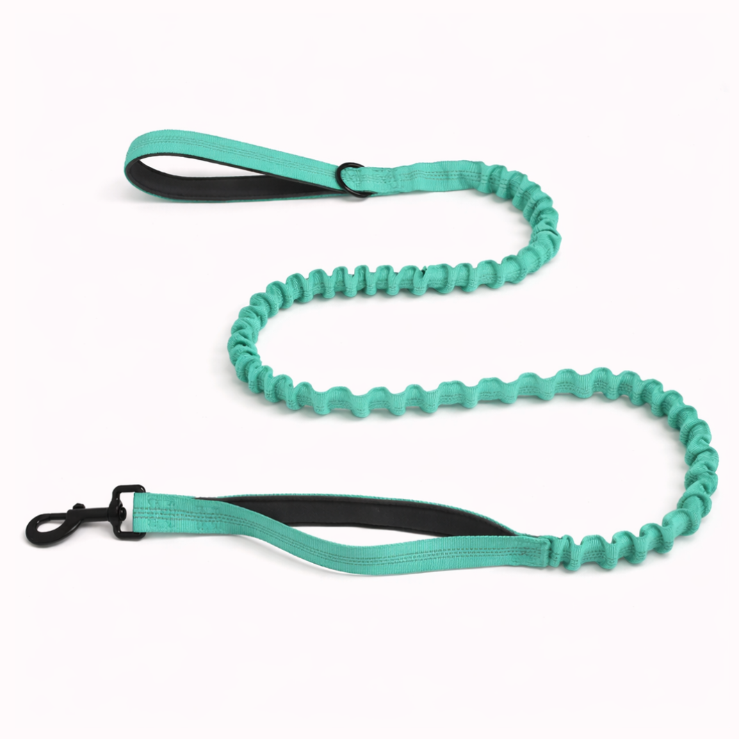 FREE ParoPet Bungee Lead