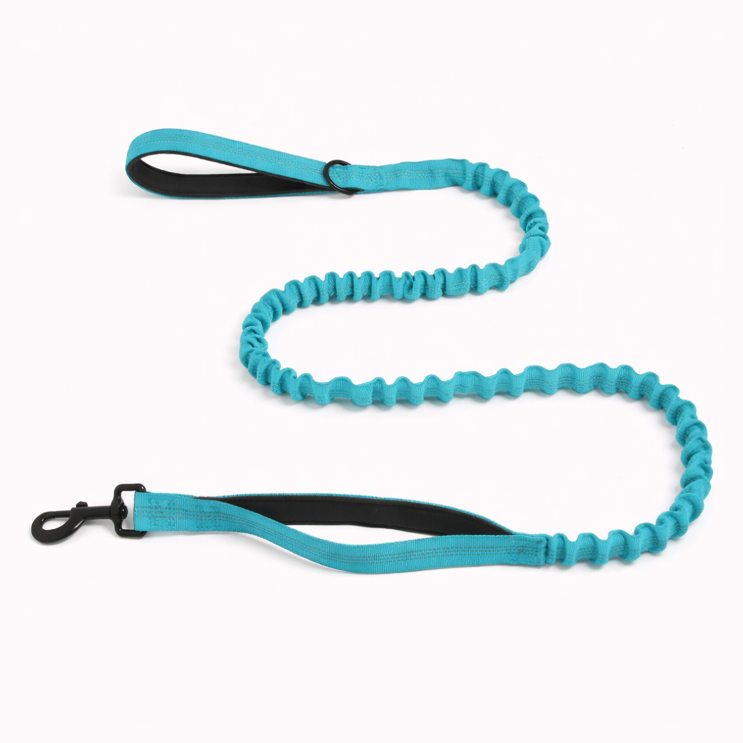 FREE ParoPet Bungee Lead
