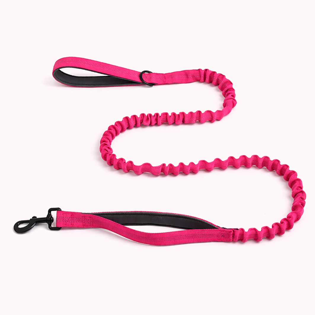 FREE ParoPet Bungee Lead