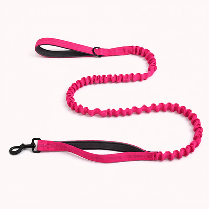 FREE ParoPet Bungee Lead