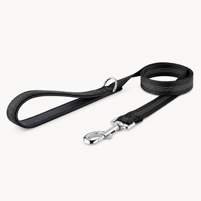 ParoPet Classic Dog Lead