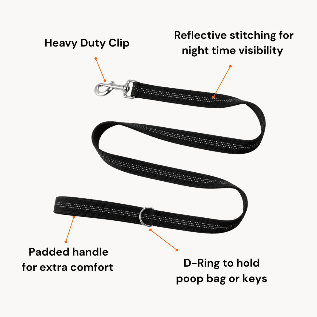 ParoPet Classic Dog Lead