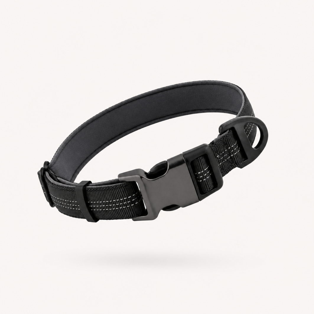 ParoPet Essentials Dog Collar