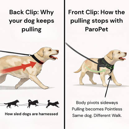 ParoPet No-Pull Dog Harness