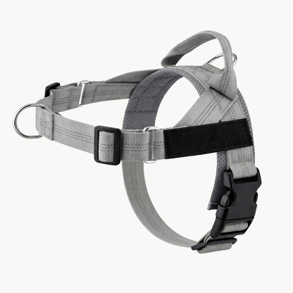 ParoPet No-Pull Dog Harness