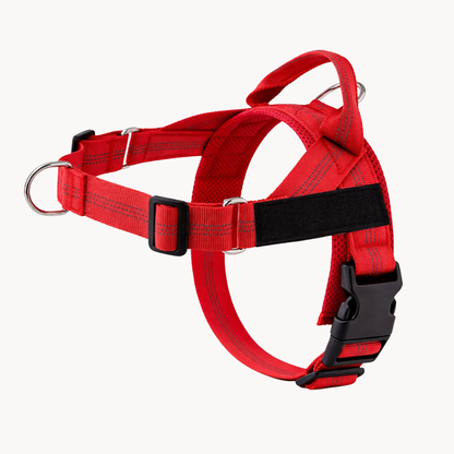 ParoPet No-Pull Dog Harness