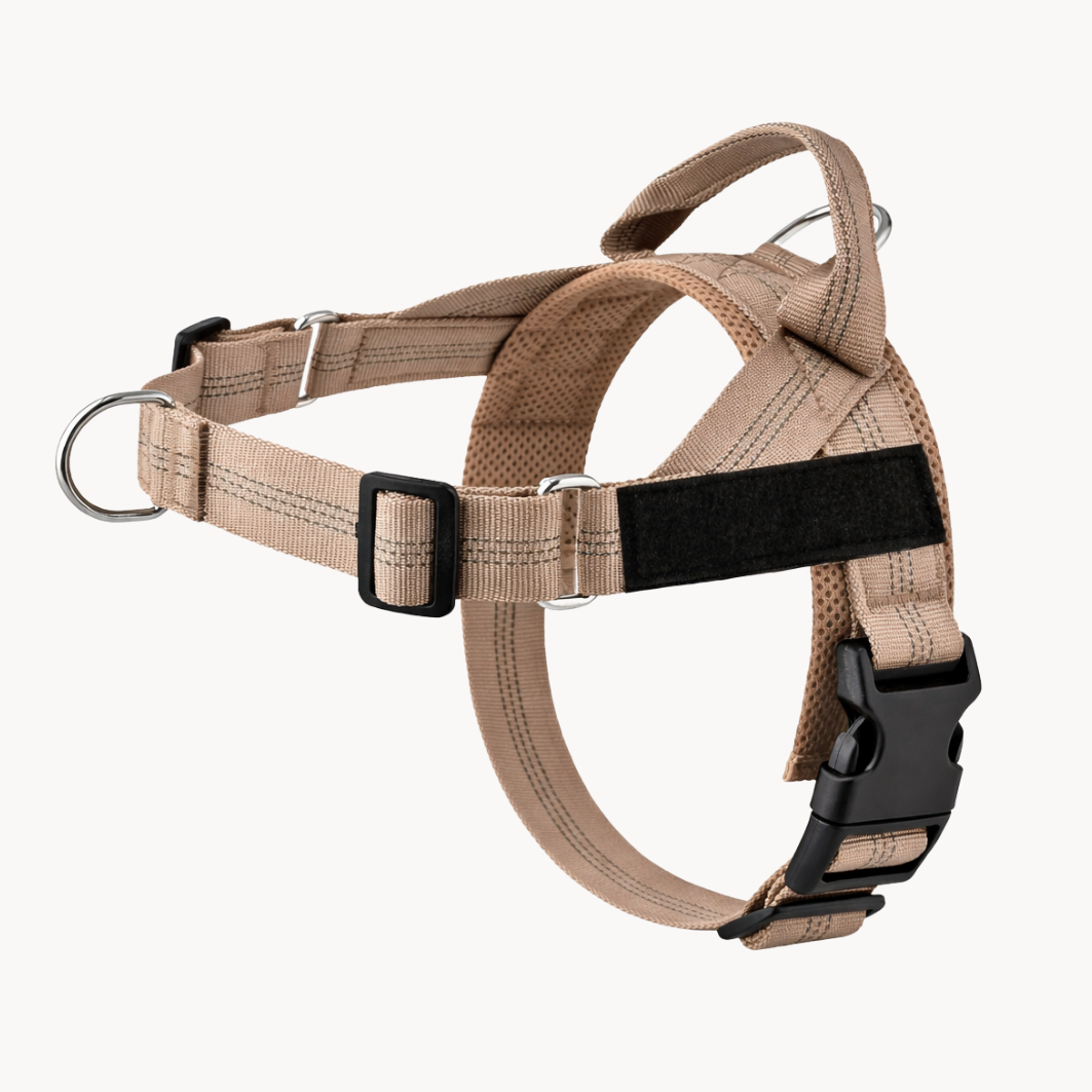 ParoPet No-Pull Dog Harness