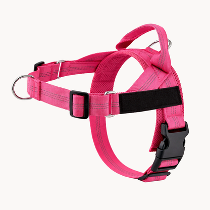 ParoPet No-Pull Dog Harness