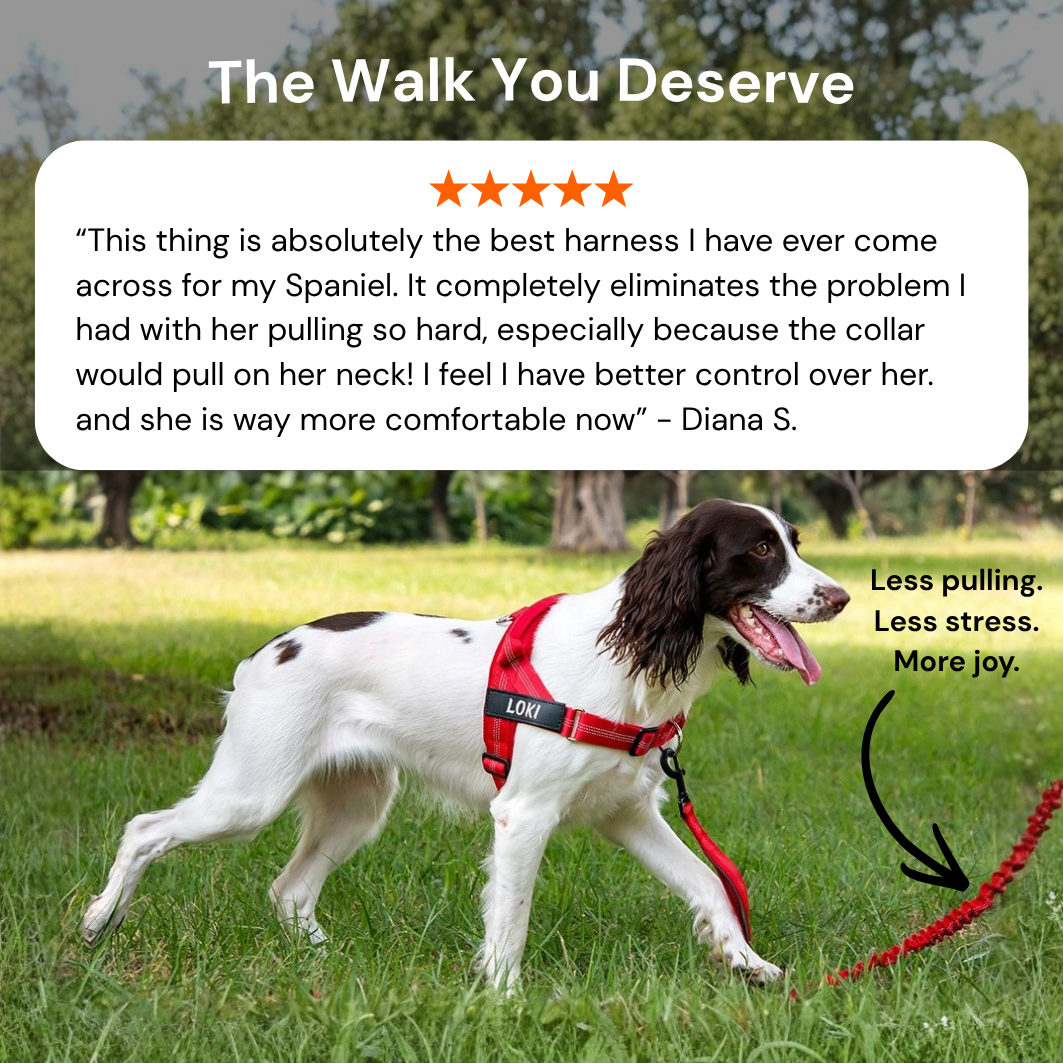 ParoPet No Pull Dog Harness