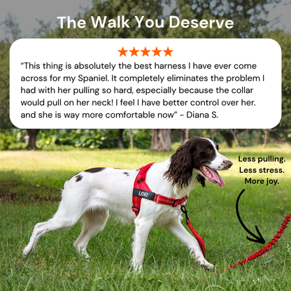 ParoPet No Pull Dog Harness