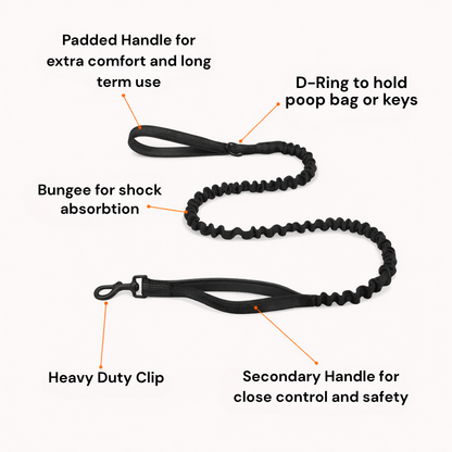ParoPet No Pull Dog Harness