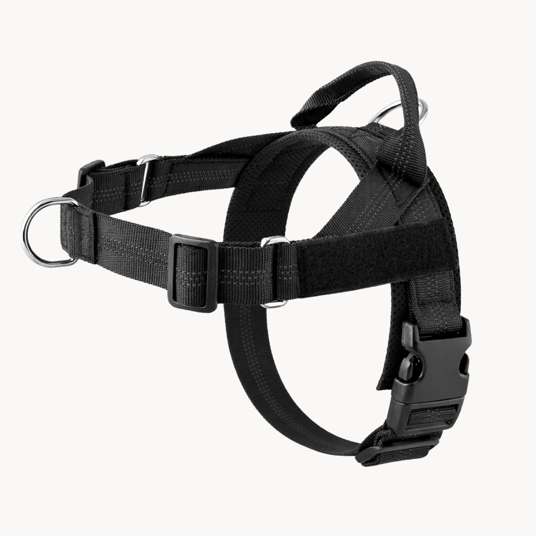 ParoPet No Pull Dog Harness