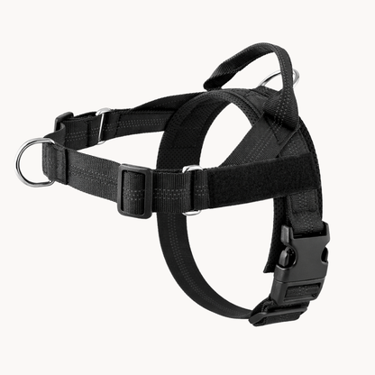 ParoPet No Pull Dog Harness