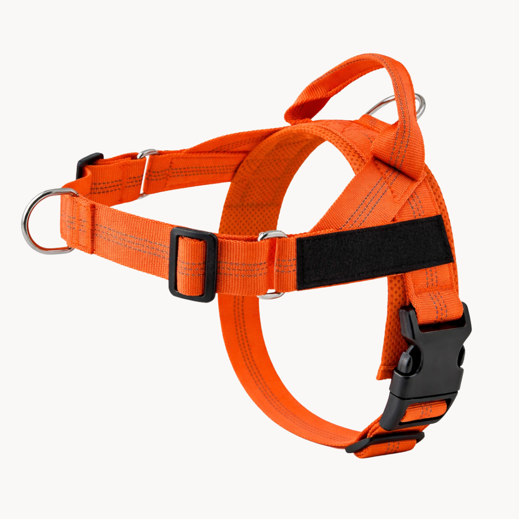 ParoPet No Pull Dog Harness