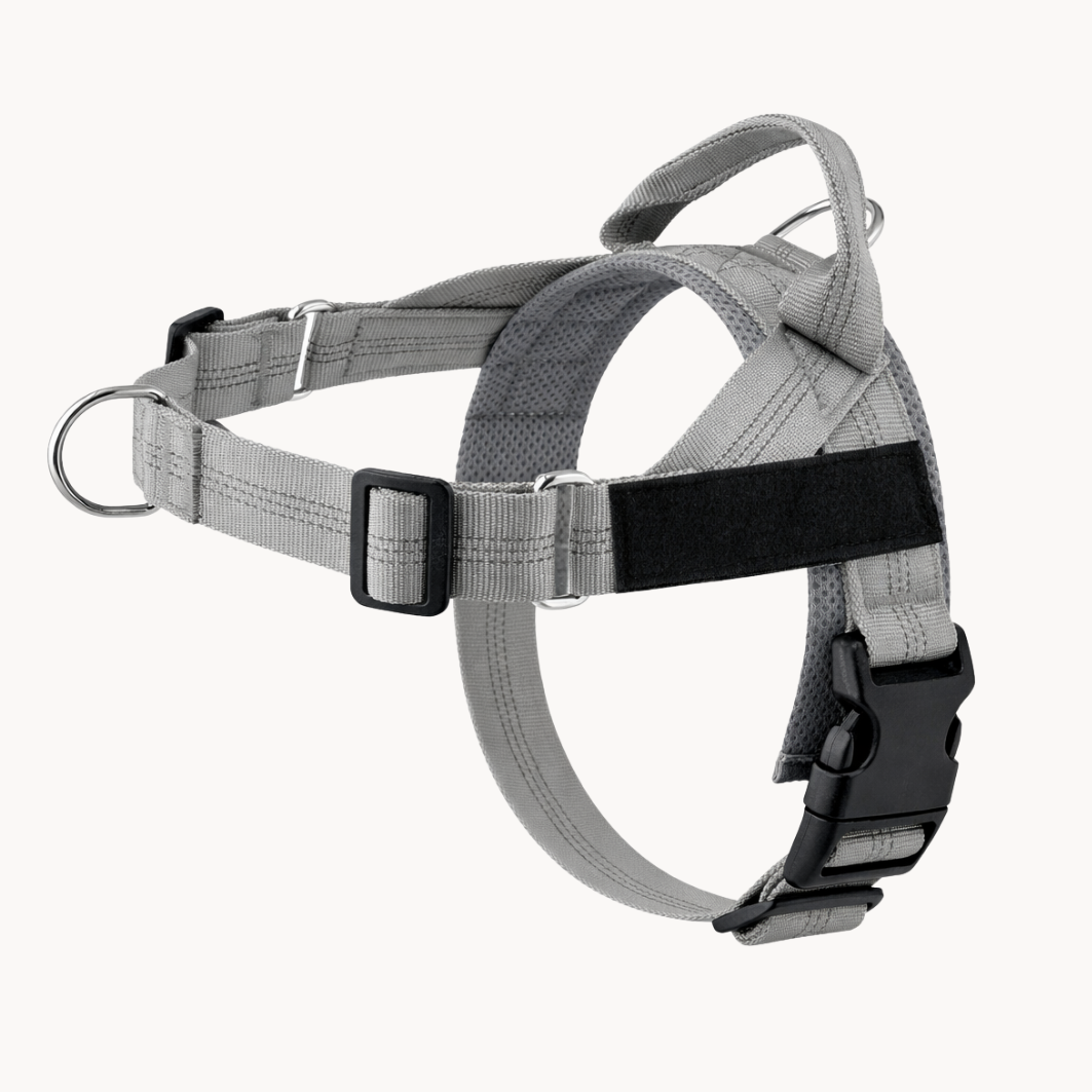 ParoPet No Pull Dog Harness