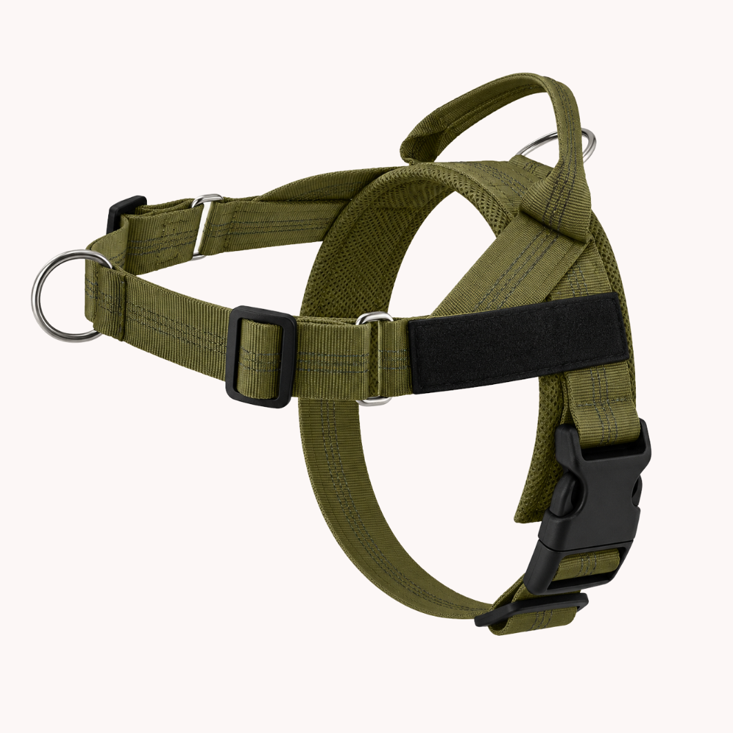 ParoPet No Pull Dog Harness