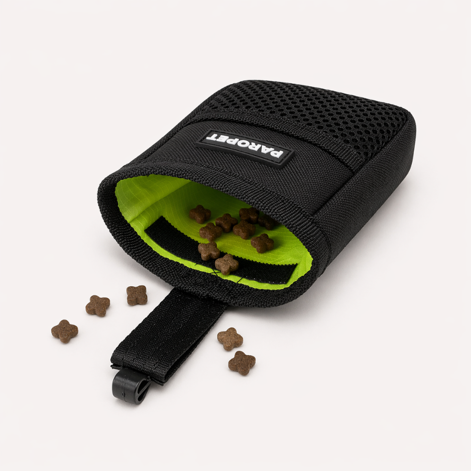 Dog Walk Treat Pouch